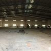 Cho thuê xưởng 2100m2 tại Thủ Dầu Một - Bình Dương