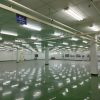 FACTORY FOR SALE IN VSIP 2 INDUSTRIAL PARK - BINH DUONG